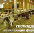 Поддержка начинающих фермеров и сельских животноводческих ферм, сельскохозяйственных перерабатывающих кооперативов в Каргапольском районе - Администрация Каргапольского района