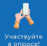 Голосование. - Каргапольский муниципальный округ